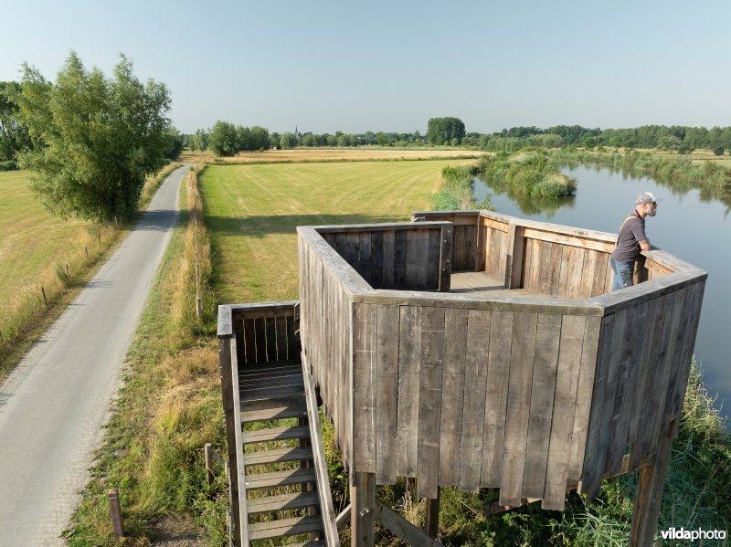 Uitkijktoren aan de oude Schelde in de Kalkense Meersen
