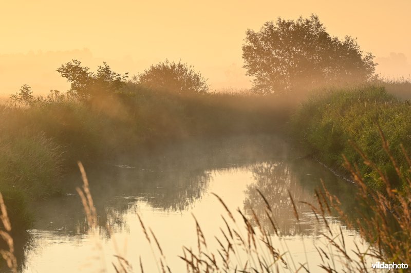 Demervallei: Langdorp