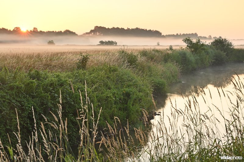 Demervallei: Langdorp