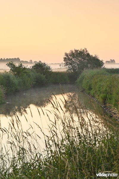 Demervallei: Langdorp