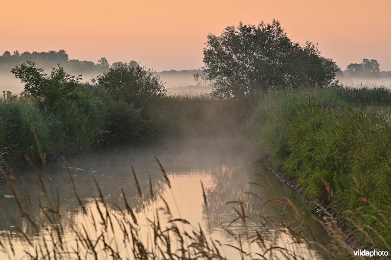 Demervallei: Langdorp