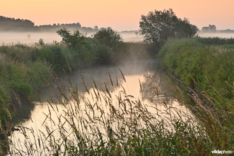 Demervallei: Langdorp