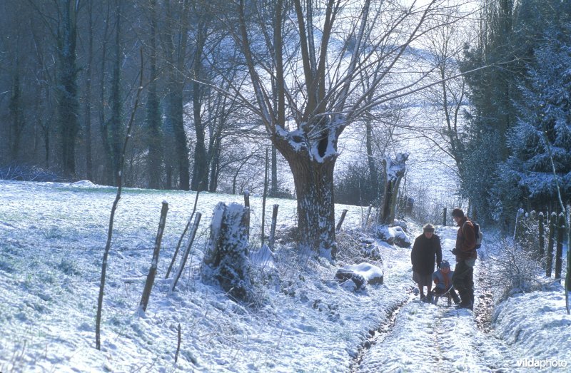 Sneeuwpret in het natuurreservaat het Burreken