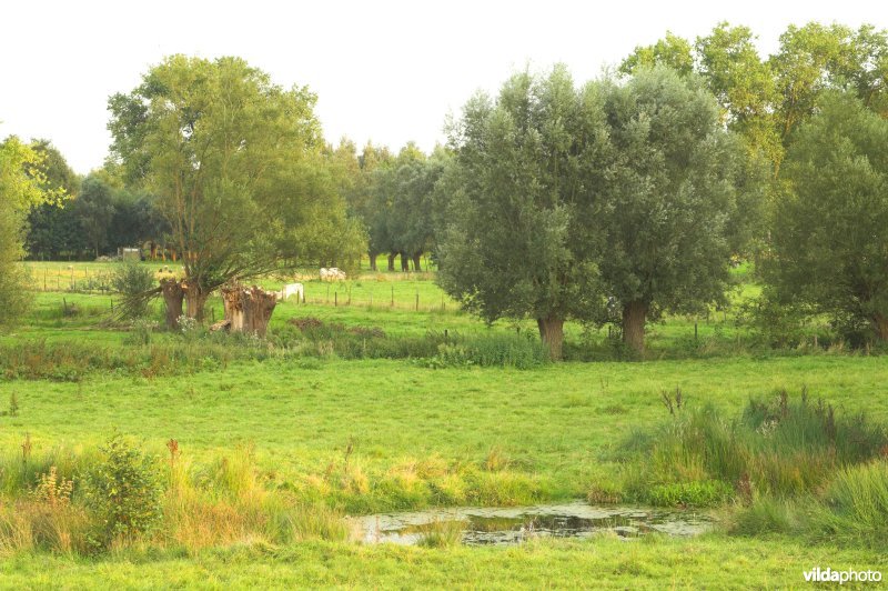 Natuurreservaat Zeverenbeekvallei