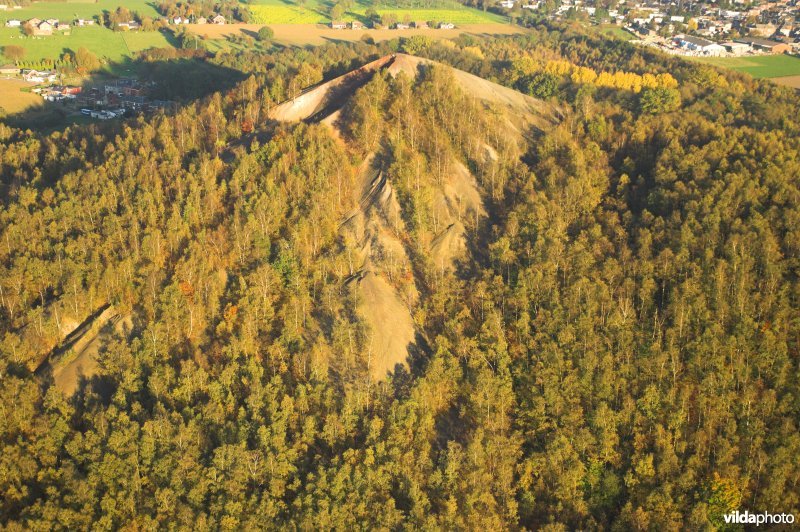 Terril van Hasard in de herfst