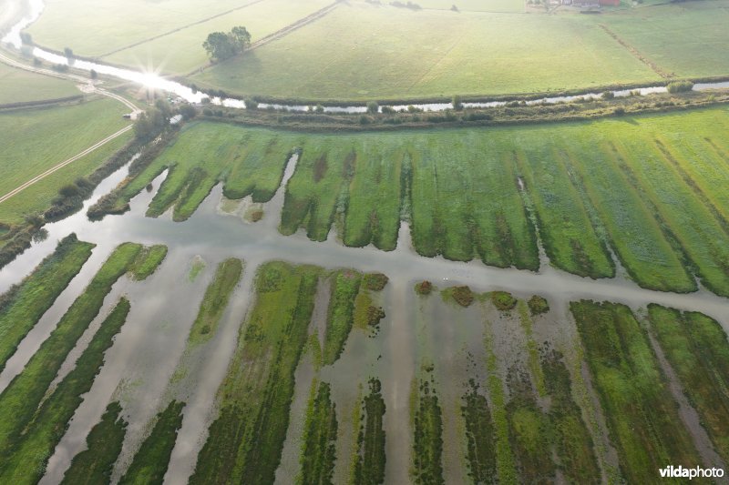 Natuurgebied Broekmolen