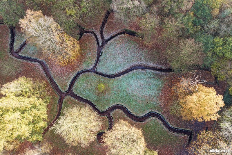 Duitse WOI site Bayernwald