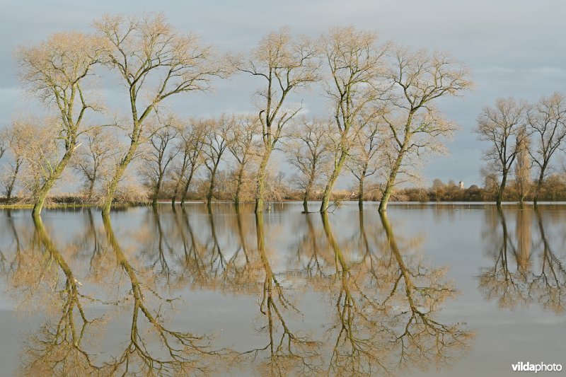 Vijfhuizenbroek