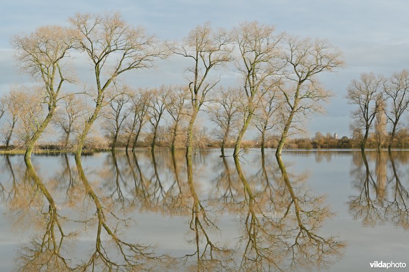 Vijfhuizenbroek