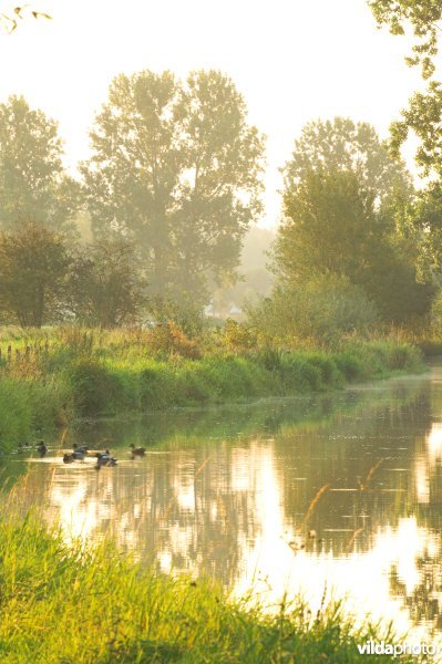 Zwalmvallei in de Vlaamse Ardennen