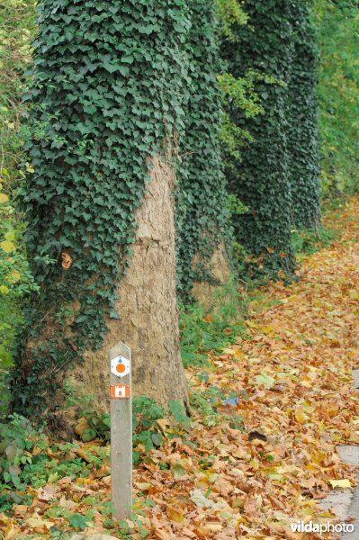 Wandeling Heks