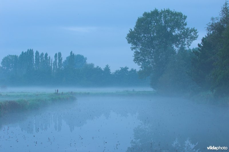 Oude Schelde in de Scherenmeersen