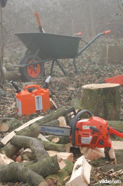 Het maken van brandhout