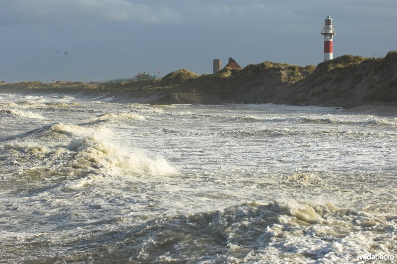 Storm aan zee