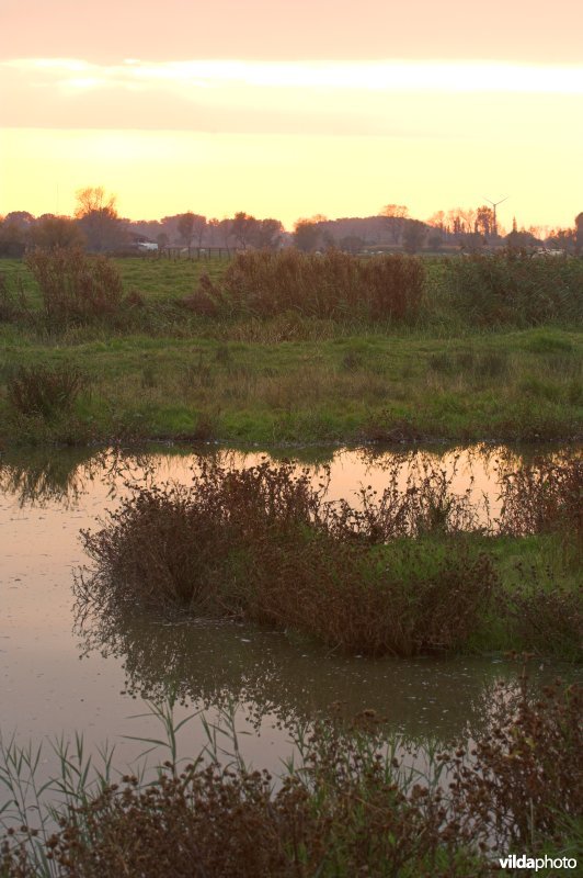 Natuurreservaat Stadswallen van Damme