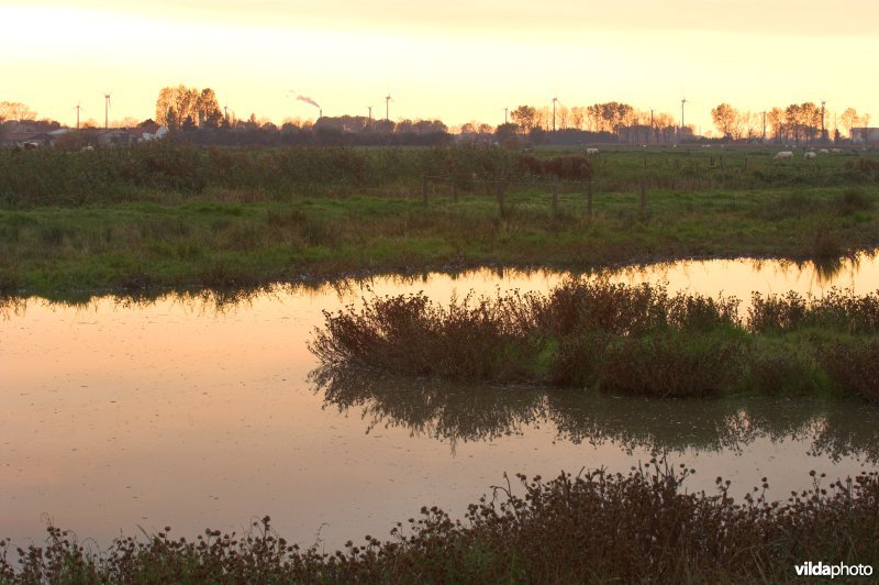 Natuurreservaat Stadswallen van Damme