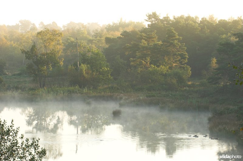 Landschap de Liereman