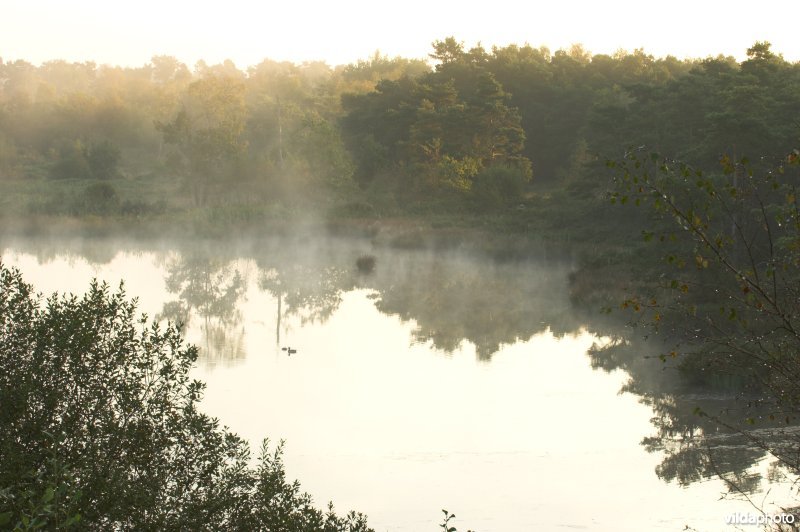 Landschap de Liereman