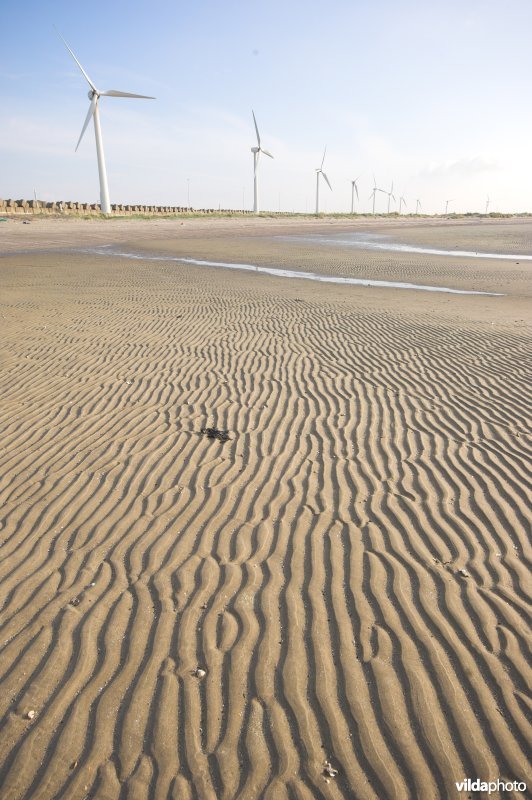 Sterneneiland in haven Zeebrugge