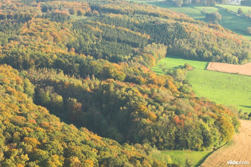 Luchtfoto bosreservaat te Voeren