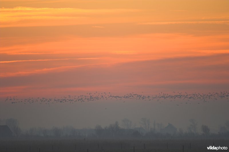 Uitkerkse polders