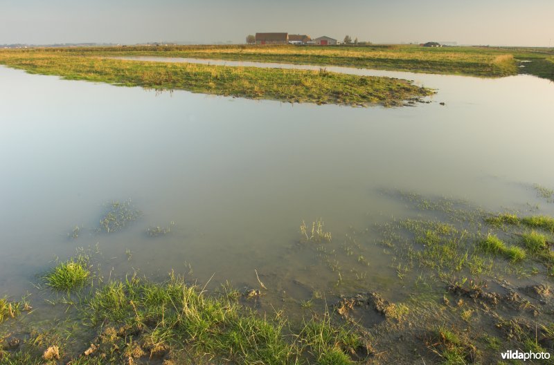 Uitkerkse polders