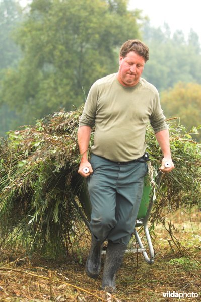 Zwoegende natuurarbeider