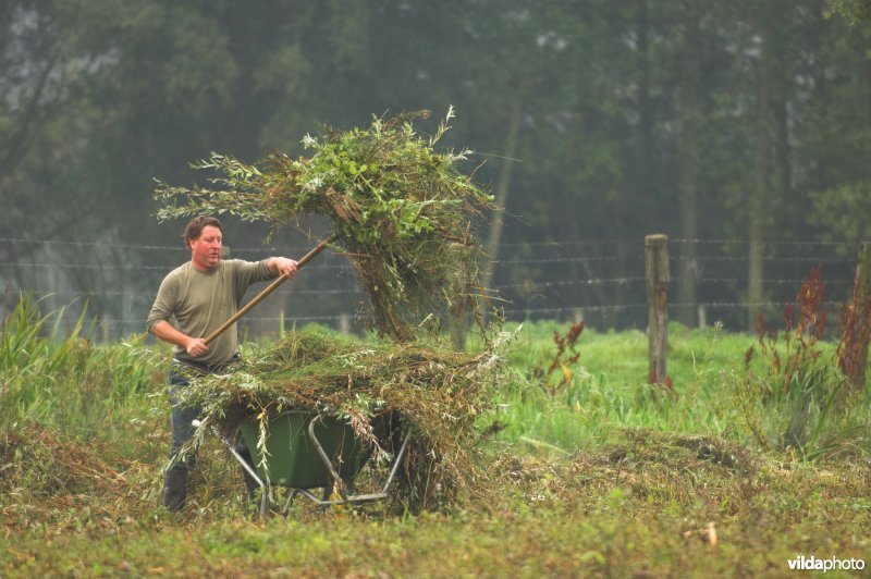 Natuurarbeiders aan de slag