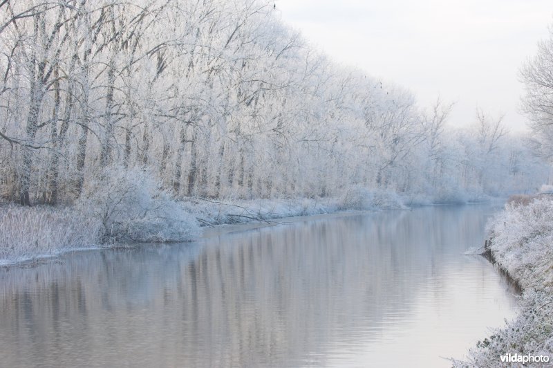 Berijpte Ieperlee-kanaal