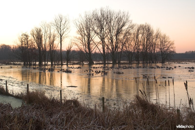 Natuurreservaat de Bourgoyen