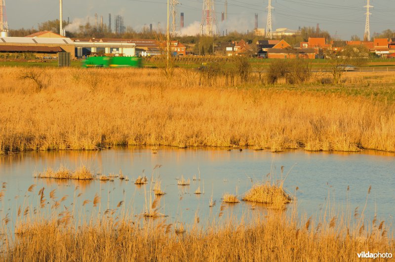 Steenlandpolder