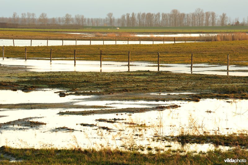 Zoetwaterkreek en Putten West