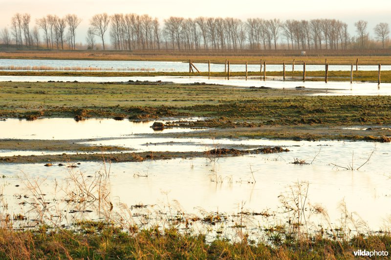 Zoetwaterkreek en Putten West
