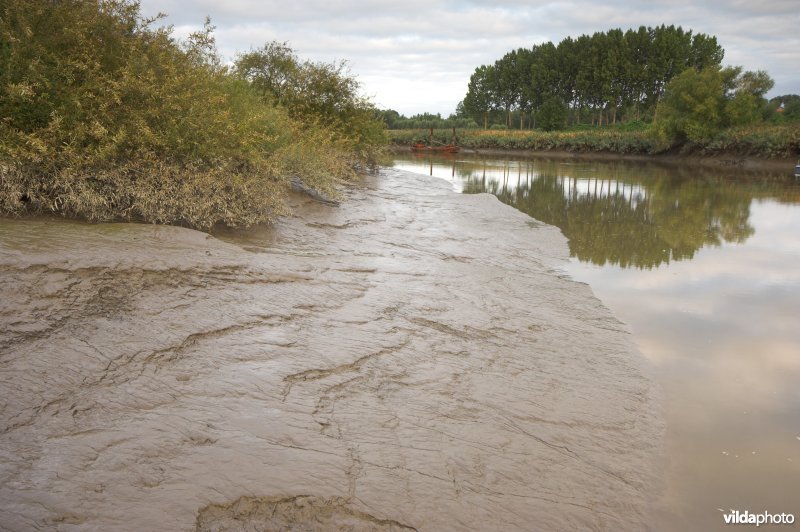 Durme in Tielrode