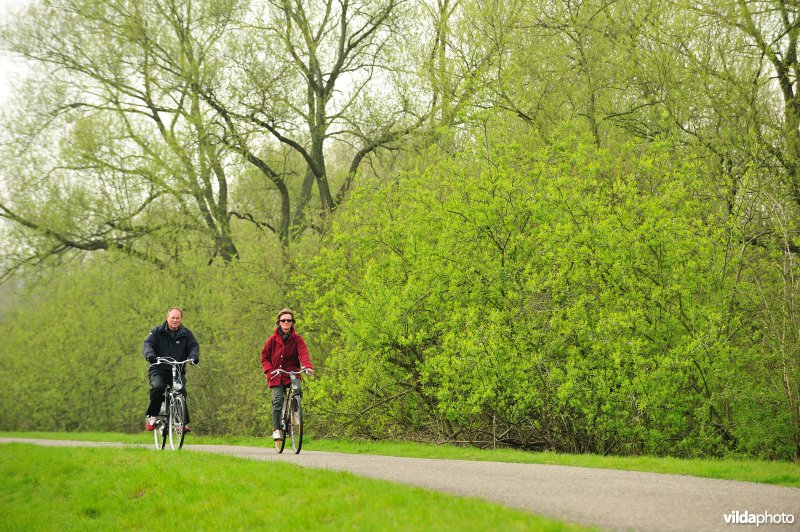 Fietsen op de Scheldedijk