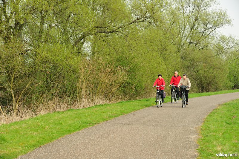 Fietsen op de Scheldedijk