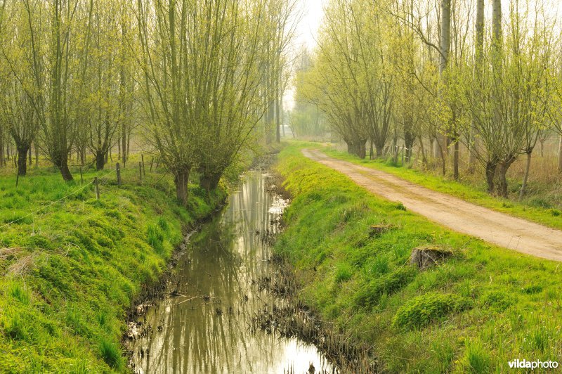 Natuurreservaat Vlassenbroekse Polder