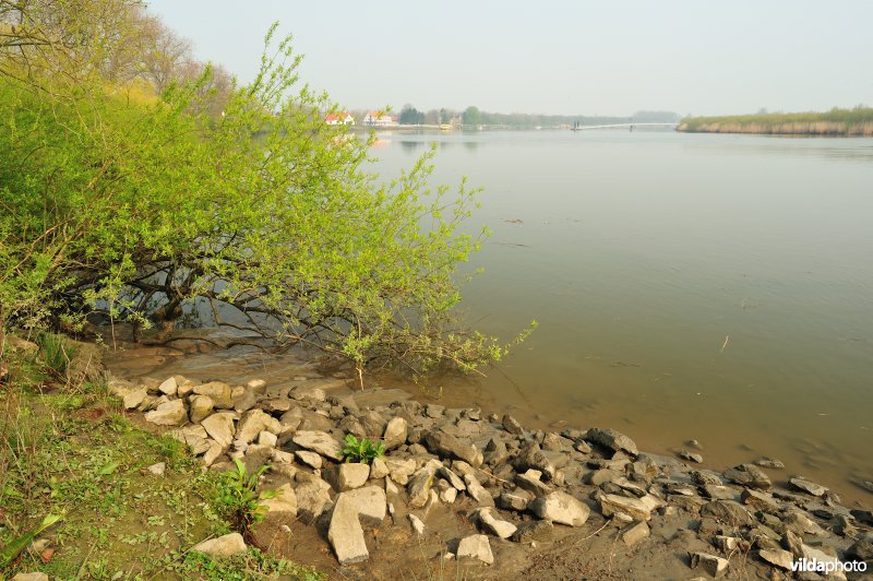 Inlaat van Lippensbroek aan de Schelde