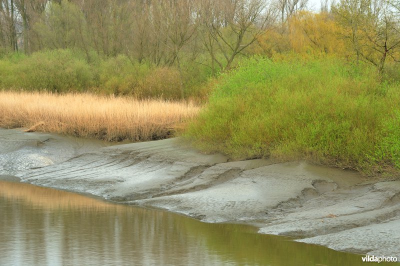 Zoetwaterschor van de Durme