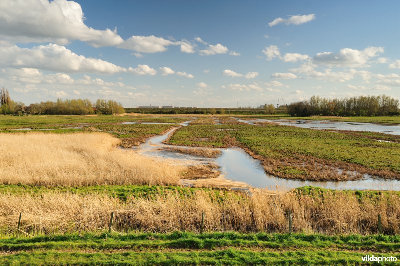 Putten Weiden