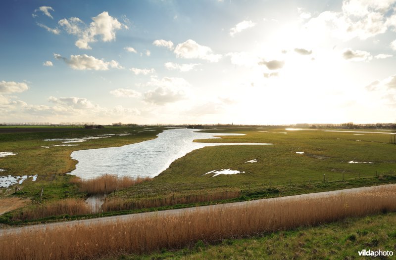 Brakke kreek in Doelpolder Noord