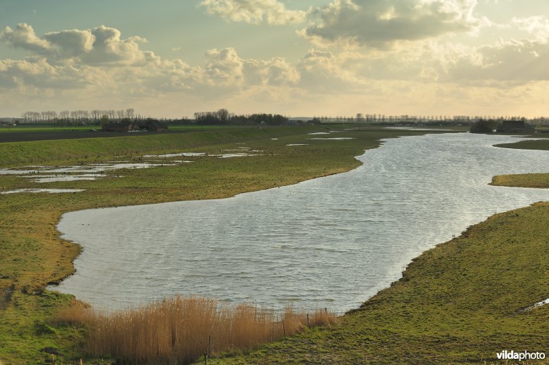 Brakke kreek in Doelpolder Noord
