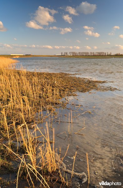 Putten West
