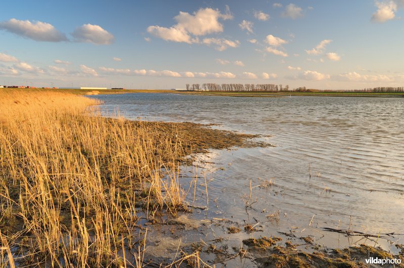 Putten West