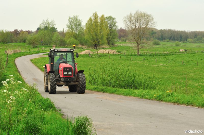 Tractor in de Bergenmeersen