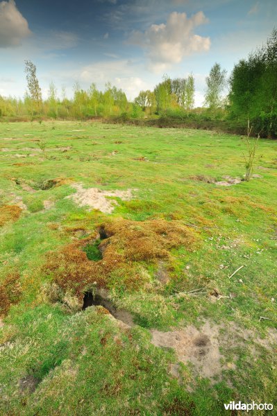 Landduinen in de Wijmeersen deel 1