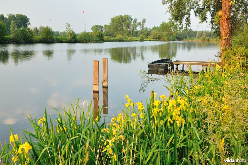 Natuurreservaat Oude Durme