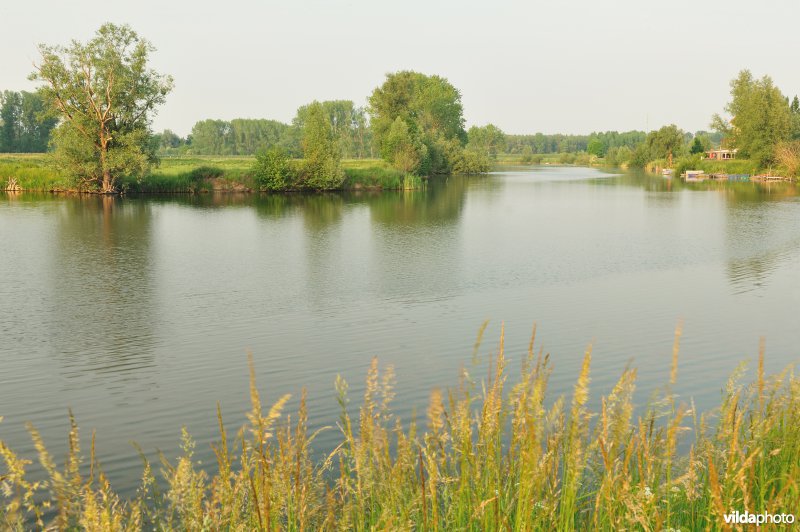 Natuurreservaat Oude Durme