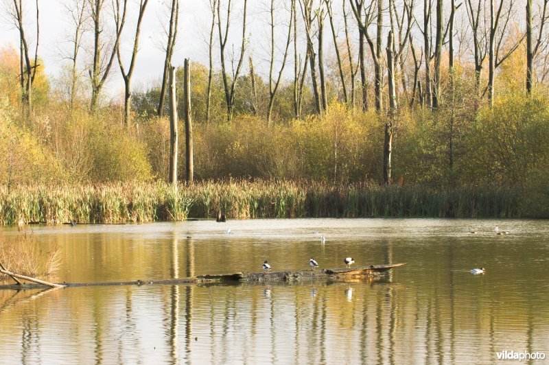 Provinciaal domein Broek De Naeyer