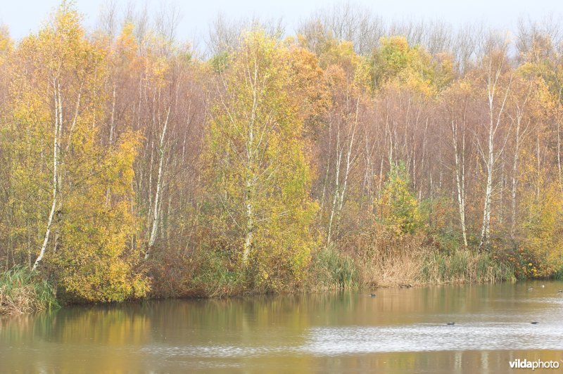 Provinciaal domein Broek De Naeyer